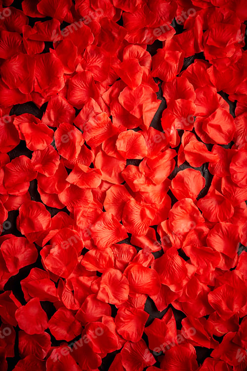 Preview: Background of beautiful red rose petals. Top view