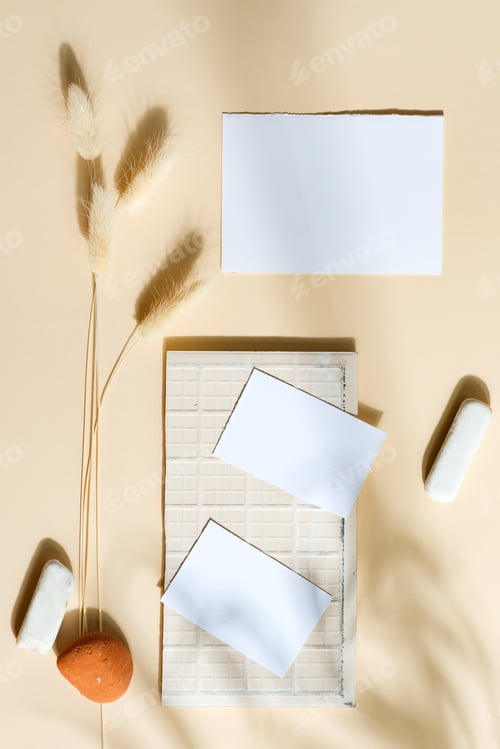 Preview: Creative set from business cards, dry plants and stones