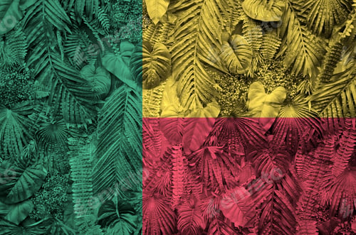 Preview: Benin flag depicted on many leafs of monstera palm trees. Trendy fashionable background
