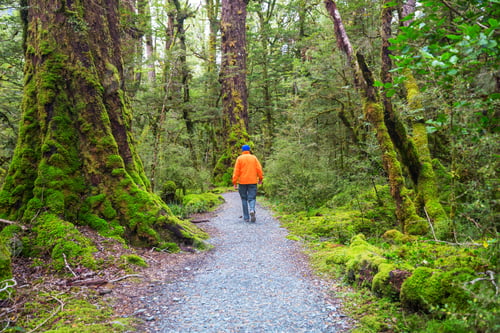 Preview: Tramping