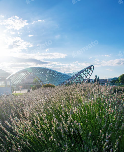 Preview: landscape with a pedestrian bridge of peace across the Kura River and flowers. Tbilisi, Georgia