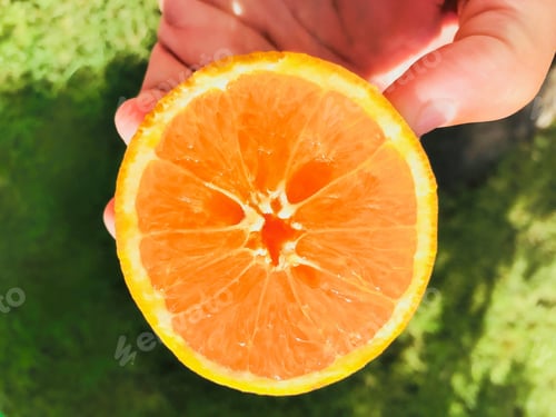 Preview: orange