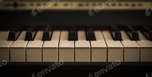 Preview: musical instrument, piano keys closeup