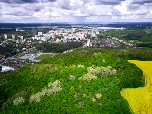 Preview: Aerial view of spring rapeseed flower field