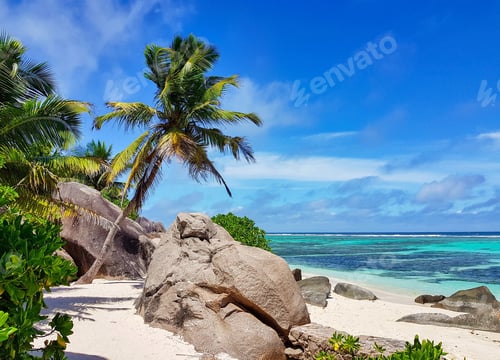 Preview: Amazing tropical beach landscape on paradise island with palm trees and turquoise sea