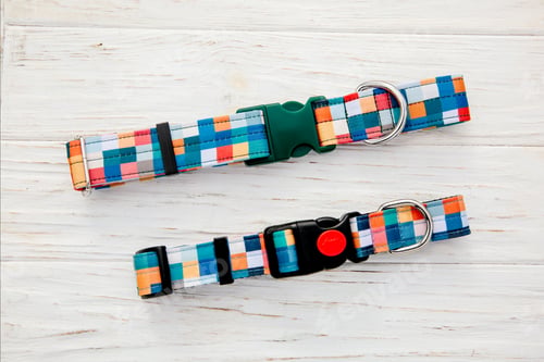 Preview: Dog Collar and Leash set. Pet Supplies and Walking Gear Collection