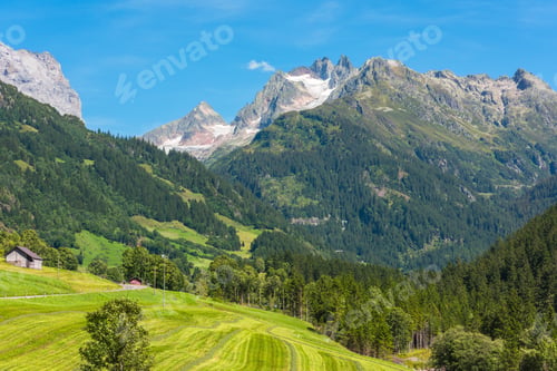 Preview: Swiss mountains with green land landscape