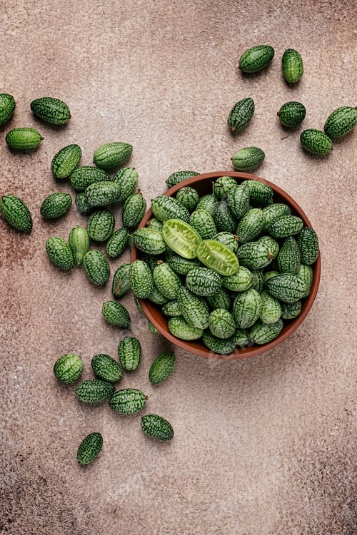 Preview: African cucumber, Mexican cucumber, mouse melon, Melothria,