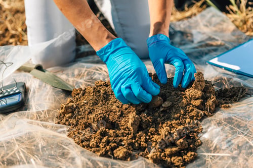 Preview: Organic Soil Certification Inspector Taking Sample