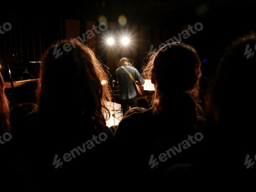 Preview: Guitarist in a concert. View behind people's silhouettes.