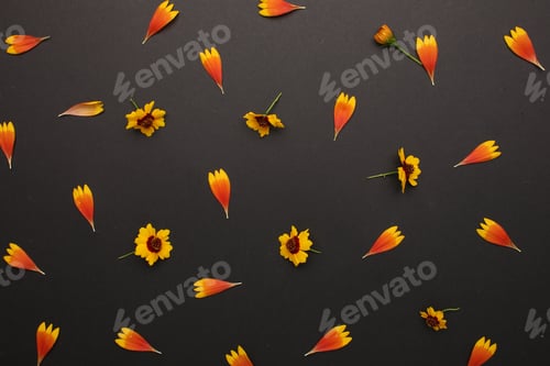 Preview: Floral pattern of flowers and roses and daisies, green leaves, branches