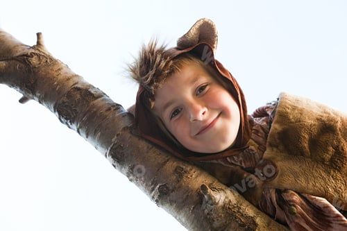 Preview: Boy dressed up as bear on tree branch