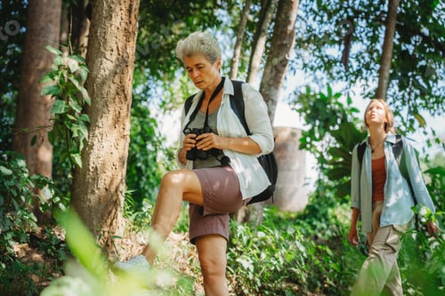Preview: female backpacker group traveling in wild forest, Attractive girl traveler look around