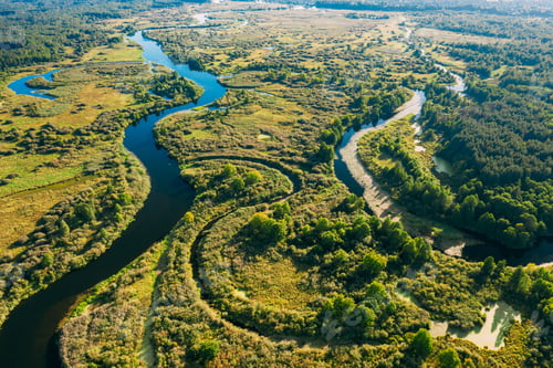 Preview: Aerial View Green Forest Woods And River Landscape In Sunny Summer Day. Top View Of Beautiful