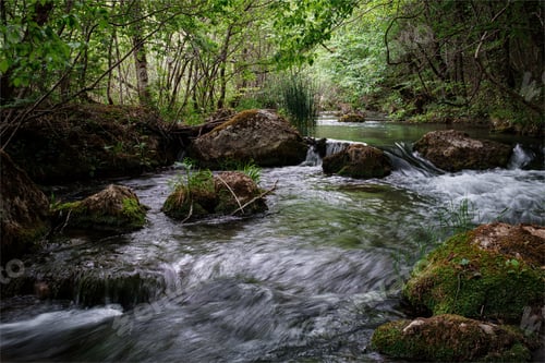 Preview: Full-flowing river in a green sunny forest.