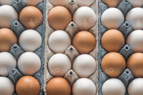 Preview: Chicken eggs
