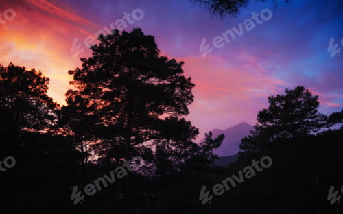 Preview: Colorful summer landscape in the Carpathian mountains. Sunset