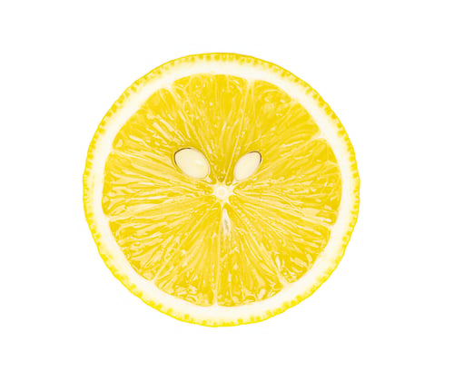 Preview: sliced lemon isolated on white background