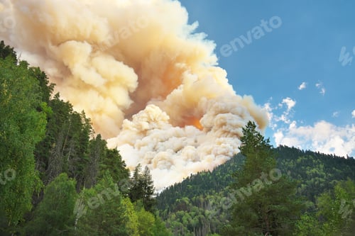 Preview: natural disaster of fire in mountain forest