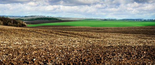 Preview: plowed field and a field of winter wheat in the hilly terrain with cloudly sky
