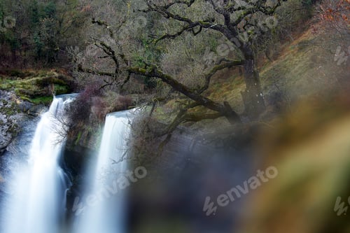Preview: Autumn tree and waterfall