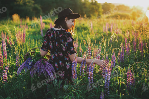 Preview: Beautiful woman gathering lupine in rustic basket in sunny field, relaxing in summer countryside