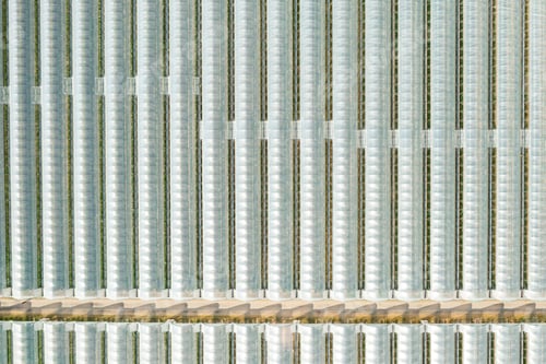 Preview: Top view of greenhouses in rows covered with transparent film for planting vegetables