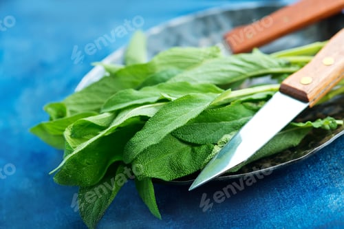 Preview: fresh sage