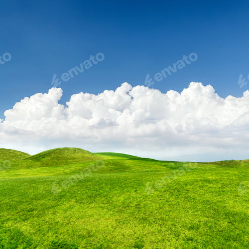 Preview: Landscape with green grass field under a blue sky