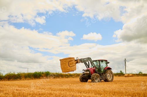 Preview: Bales of hay