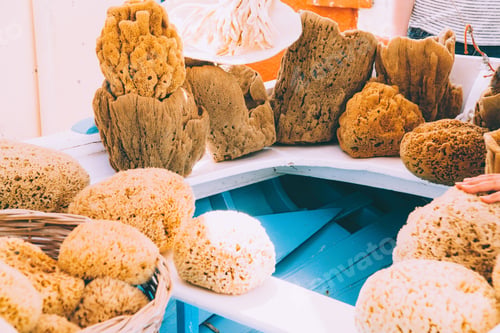Preview: Coral sponges for skin care