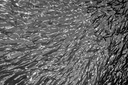 Preview: Abstract Background And Texture Closeup From Gray Tapes Of Fabric Or From Textile Material