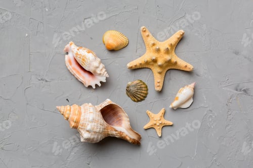 Preview: Summer time concept Flat lay composition with beautiful starfish and sea shells on colored table