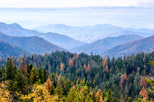 Preview: Sequoia National Park mountain landscape at autumn