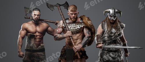 Preview: Ancient three fierce vikings with fur and weapons