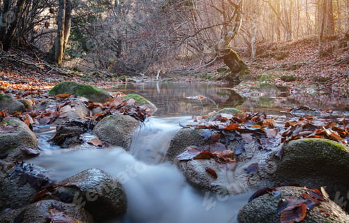 Preview: Creek in autumn forest sunset. Fall season in forest