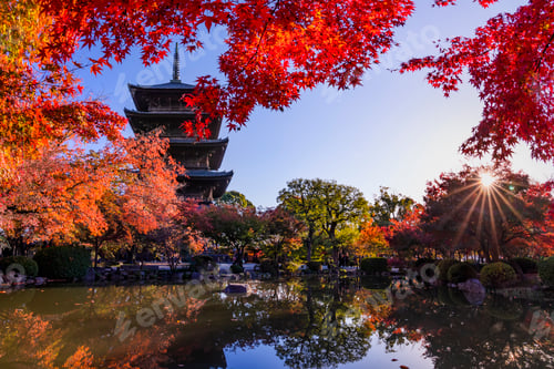 Preview: The wooden tower of To-ji Temple in Kyoto at autumn