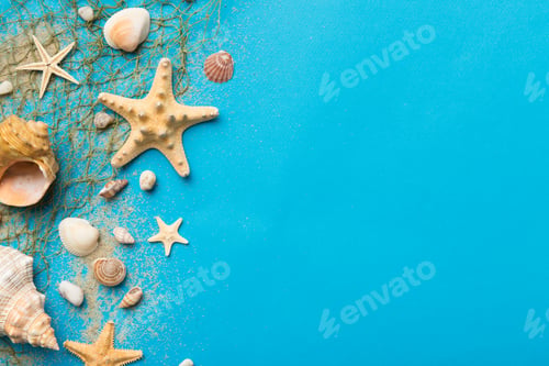 Preview: Summer time concept Flat lay composition with beautiful starfish and sea shells on colored table