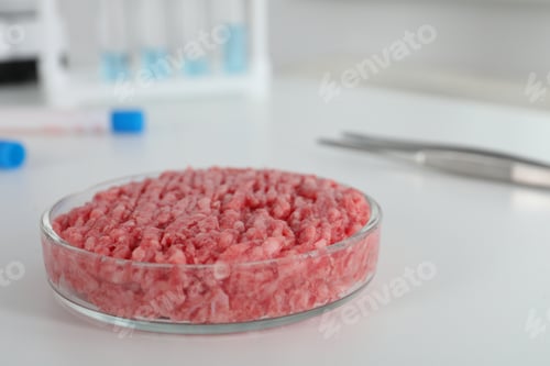 Preview: Petri dish with raw minced cultured meat on white table in laboratory, closeup