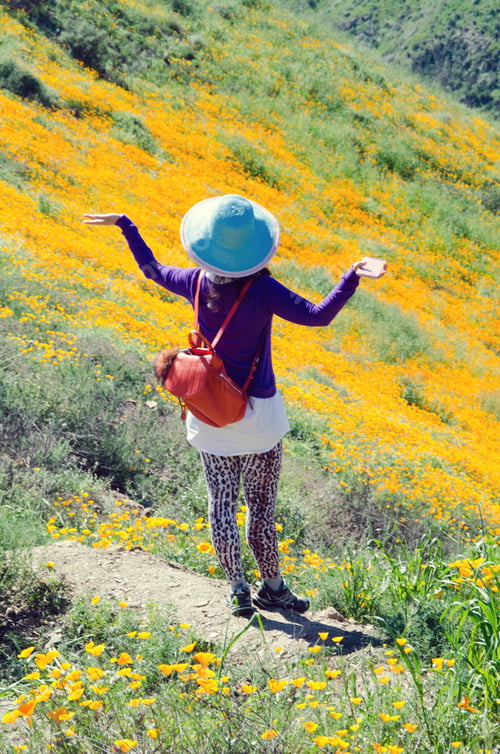 Preview: Young millennial woman enjoys a sunny spring day in the poppy fields, people from behind