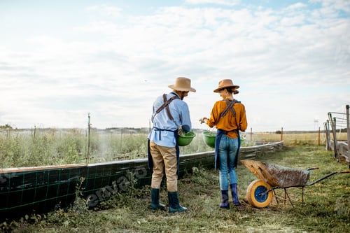 Preview: Two workers on the farmland outdoors