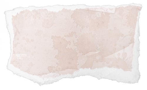 Vista previa: Mensaje de nota de papel de acuarela beige rasgado aislado sobre fondo blanco.
Plantilla