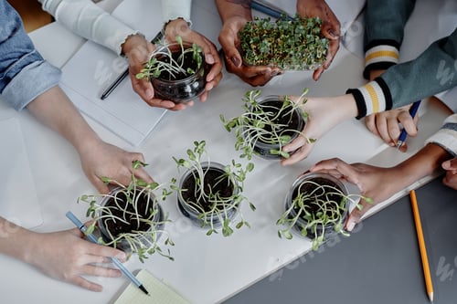 Preview: Kids Learning about Environment at Natural Science Lesson