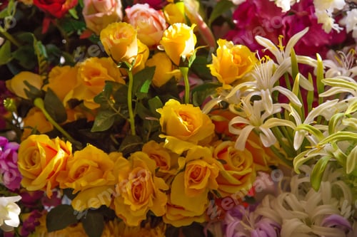 Preview: Blossoming flowerbeds