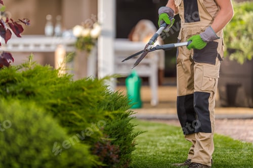 Preview: Gardener Ready to Prune Plants