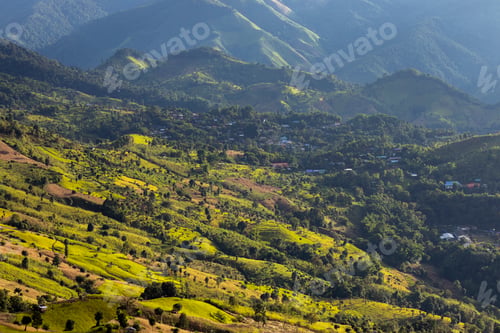 Preview: Aerial top view forest tree, Rainforest ecosystem and healthy environment concept and background