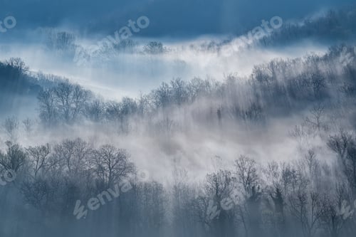 Preview: Morning fog above forest in Tuscany