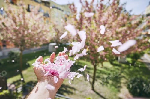 Preview: Wing blowing petals from human hand against garden and residental building.