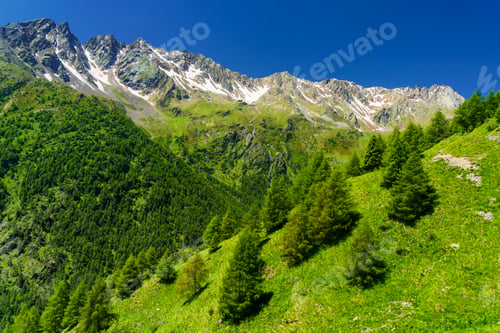 Preview: Passo Gavia, mountain pass in Lombardy, Italy, to Val Camonica at summer