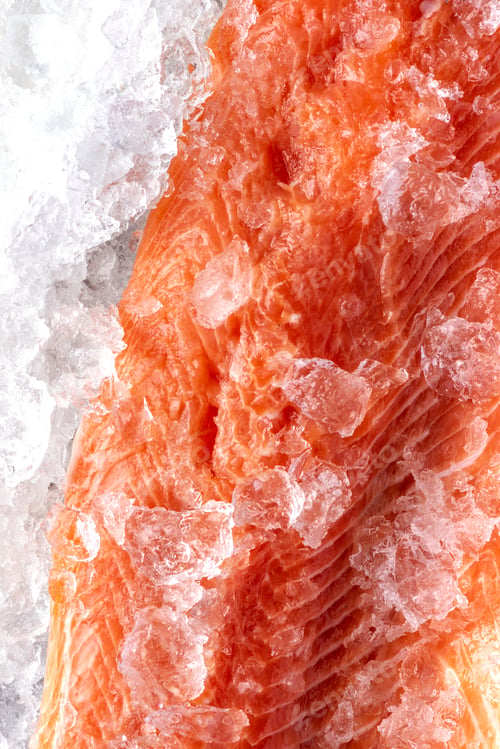 Preview: Salmon Fillet Raw Meat on Ice. Food Background.